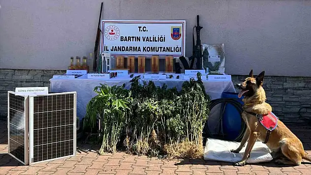 Kurucaşile'deki Uyuşturucu Operasyonunda 1 Kişi Tutuklandı