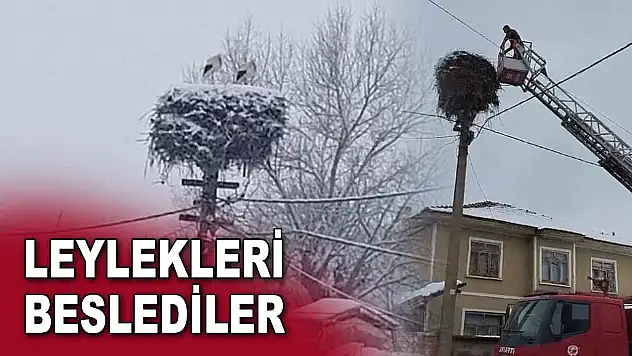 Leylekleri Beslediler