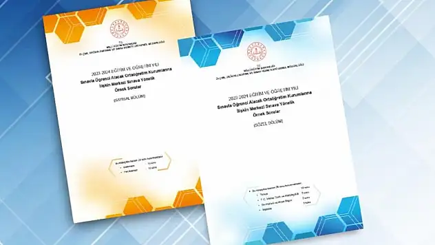 LGS Örnek Soruları Yayımlandı