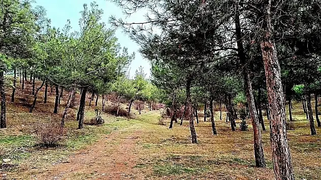 Lise Öğrencilerinden Anlamlı Etkinlik