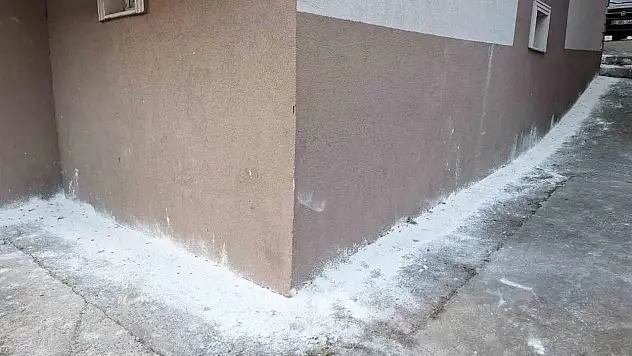 Mahalleyi Böcekler Bastı
