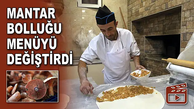 Mantar Bolluğu Menüyü Değiştirdi
