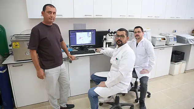 Marmara Denizindeki Tehlikenin Boyutunu Ölçmek İçin Çalışıyorlar