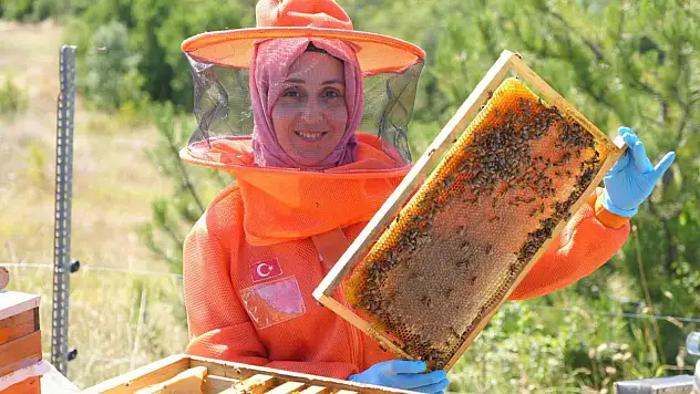 Merakı Mesleği Oldu