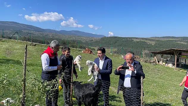 Meralar Sevgiyle Doldu