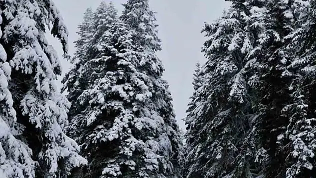 Çankırı'da Kar Yağışı Etkili Oldu