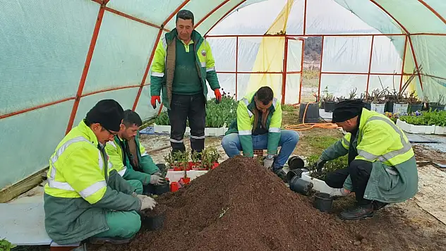Mevsimlik Çiçek Dikimi Başlıyor