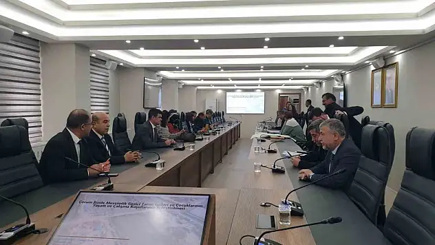 O Proje Başladı