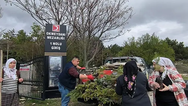 Mezarlık ziyaretçilerine fidan hediyesi