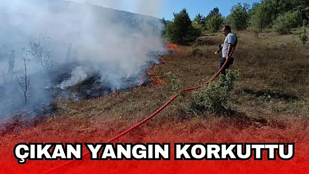 Mezarlıkta Çıkan Yangın Ormana Sıçramadan Söndürüldü