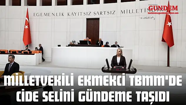 Milletvekili Ekmekci TBMM'de Cide Selini Gündeme Taşıdı