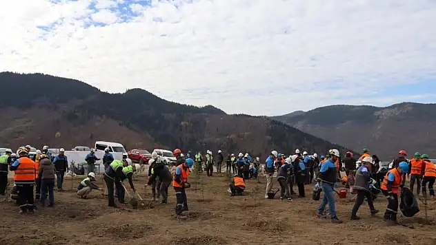Milli Ağaçlandırma Günü Kapsamında Etkinlik Yapıldı