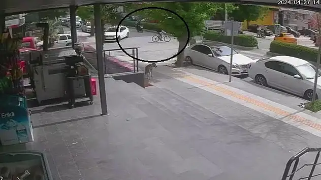 Motosiklet ve Bisiklet Çarpıştı: 3 Yaralı