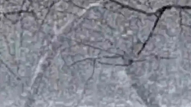 Mudurnu'da Lapa Lapa Kar Yağışı Etkili Oldu