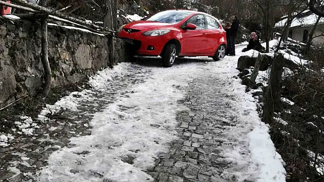 Tatile Gelmişlerdi, Ölümden Döndüler