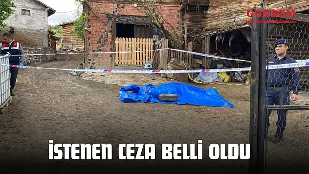 Muhtarı Öldüren Sanık İçin İstenen Ceza Belli Oldu