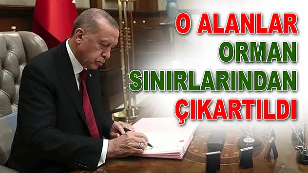 O Alanlar Orman Sınırlarından Çıkartıldı