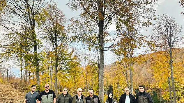 O İlçe Doğal Gençleştirme Çalışmalarında Öne Çıktı