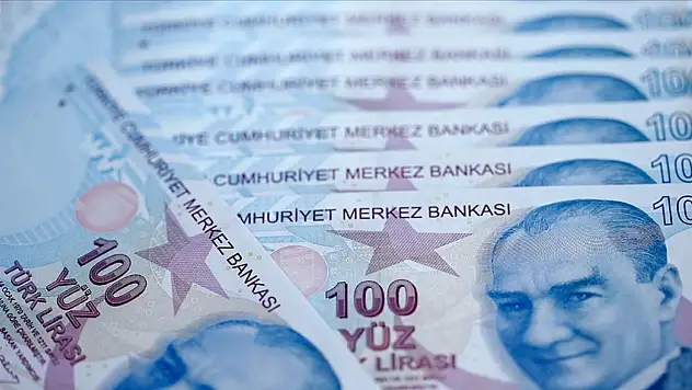 O Kurumlara Ayrılan Bütçe Belli Oldu
