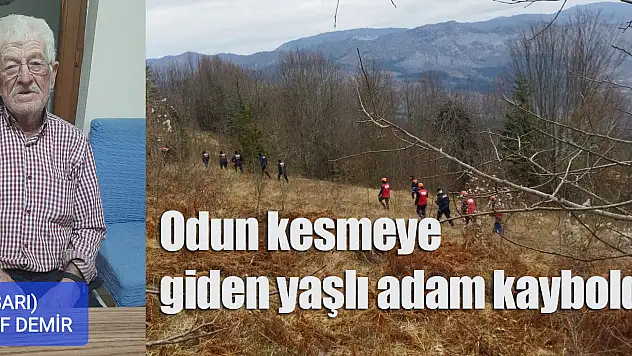Odun kesmeye giden yaşlı adam kayboldu