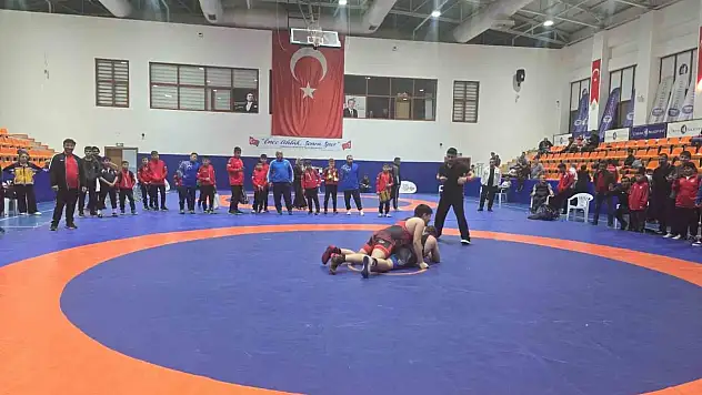Olimpiyat Şampiyonları Anısına Güreş Turnuvası Düzenlendi