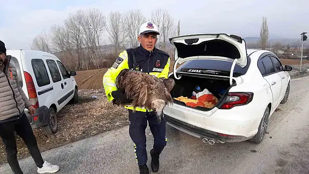 Akbabanın Yardımına Jandarma Yetişti