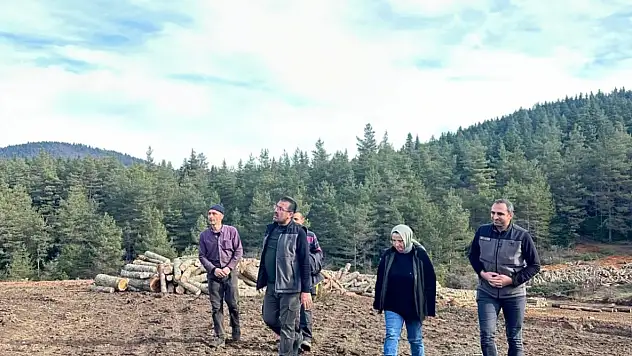 Orman Bakım Çalışmaları Denetlendi