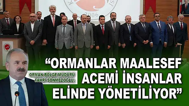 Orman Bölge Müdürü Sönmezoğlu: 'Ormanlar Maalesef Acemi İnsanlar Elinde Yönetiliyor'