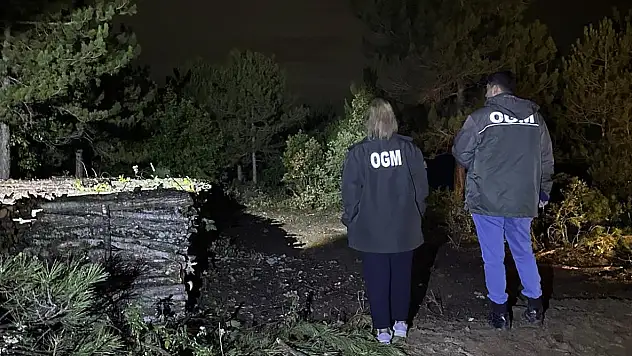Orman'da Gece Devriyeleri Sürüyor