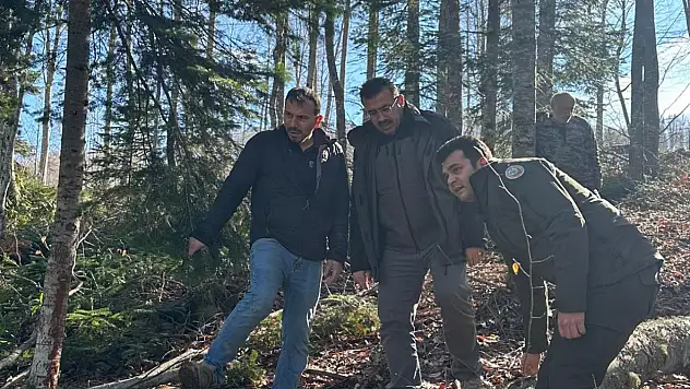Orman Emvali İstifleme Deposunda Denetim