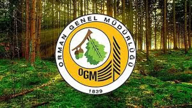 Orman Genel Müdürlüğü 496 Sözleşmeli Personel Alacak
