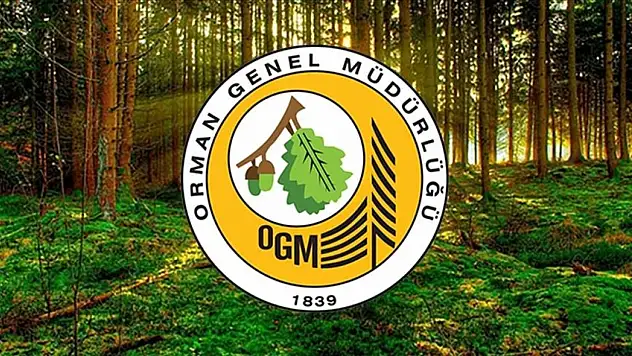 Orman Genel Müdürlüğü Personel Alacak