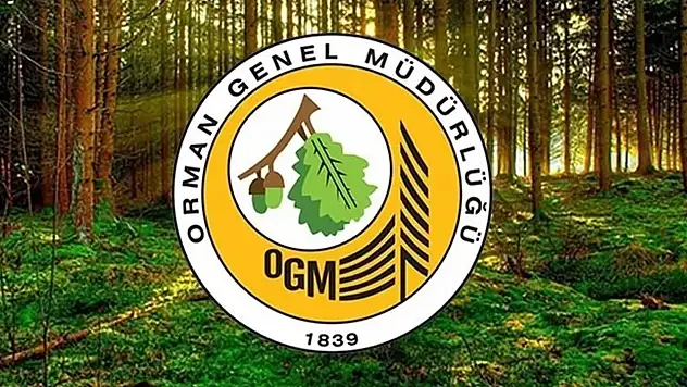 Orman Kesin Listeyi Yayınladı