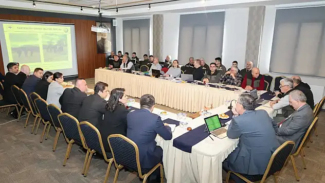 Orman, Toplantılarını Sürdürdü