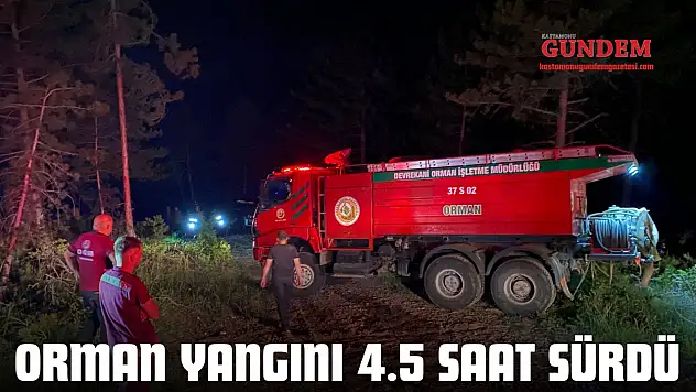 Orman Yangını 4.5 Saat Sürdü