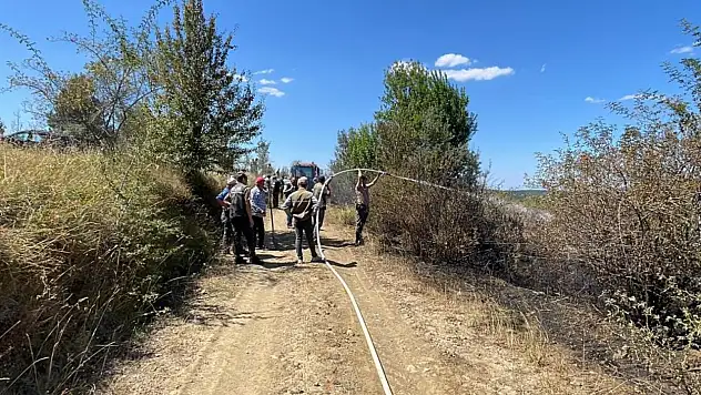 Orman yangını büyümeden söndürüldü