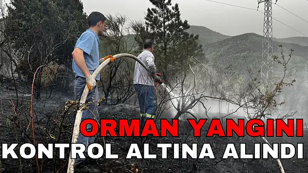 Orman Yangını Kontrol Altına Alındı