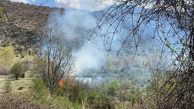 Orman Yangını Korkuttu