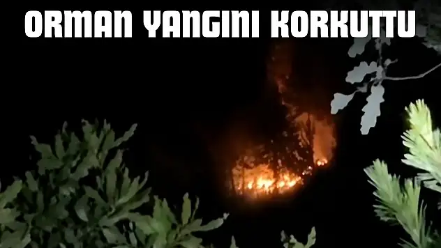 Orman Yangını Korkuttu