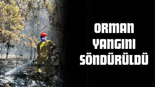 Orman Yangını Söndürüldü