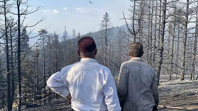 Orman Yangınına Karşı Köylüler Seferber Oldu