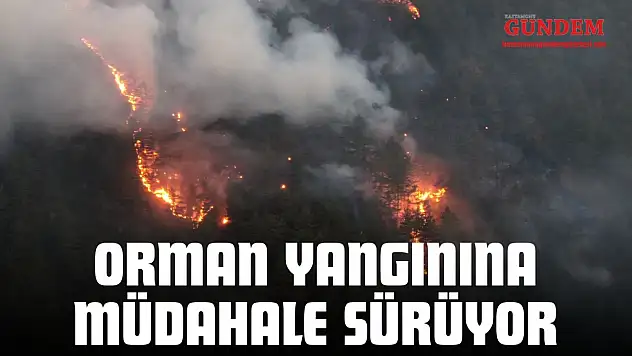 Orman Yangınına Müdahale Sürüyor