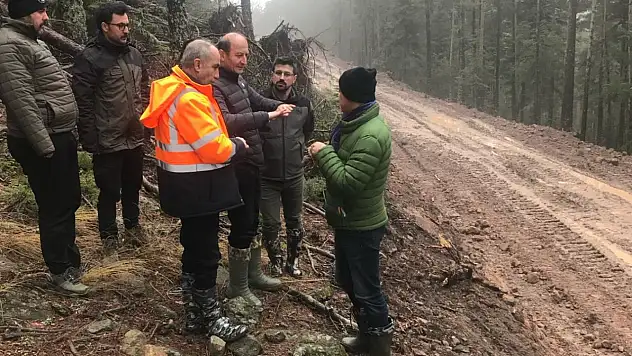 Orman Yollarındaki Çalışmalar Devam Ediyor