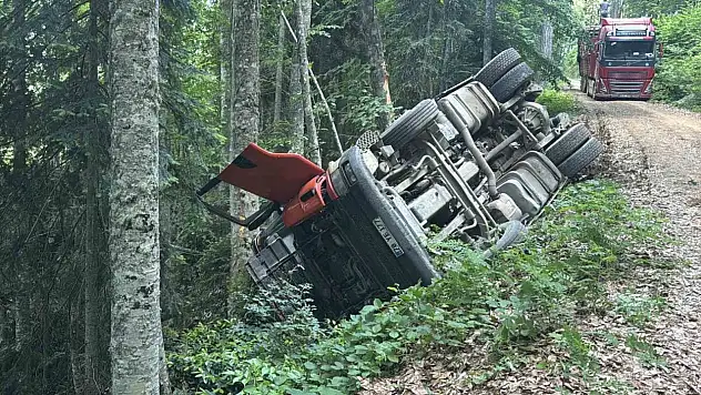 Orman yolunda şarampole devrilen kamyonun sürücüsü yaralandı