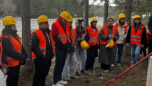 Orman Zararlılarıyla Mücadele Sürüyor