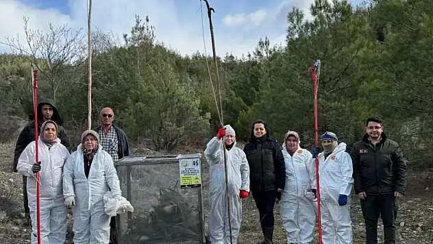 Orman Zararlılarıyla Mücadele Devam Ediyor