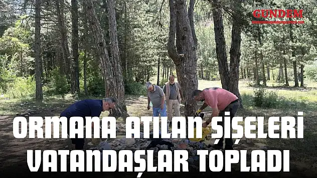 Ormana Atılan Şişeleri Vatandaşlar Topladı
