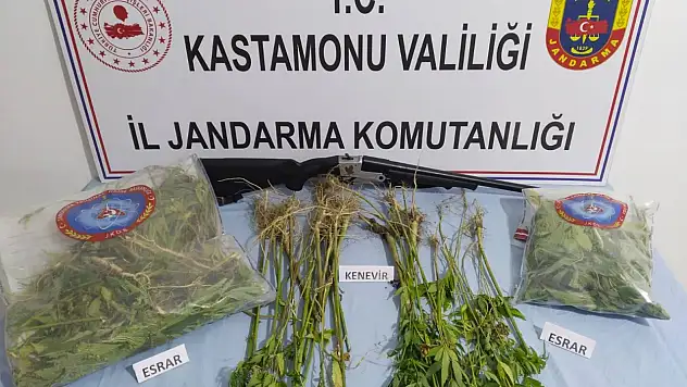 Ormana Kenevir Ekmişler