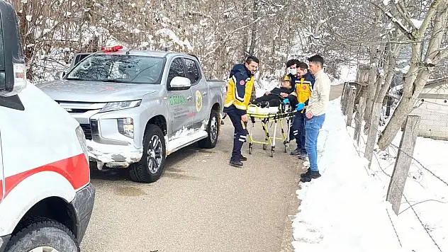 Ormancıların Dikkati Hayat Kurtardı