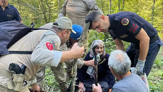 Ormanda Kaybolan Yaşlı Kadın Bulundu